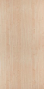 Sugarcoat Maple