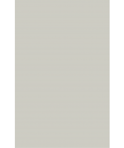 Arctic Grey