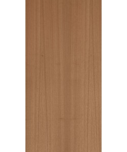 Golden Teak