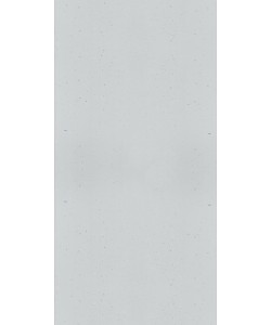 Grigio Superstar